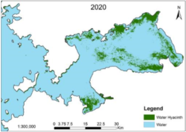 Remote sensing results