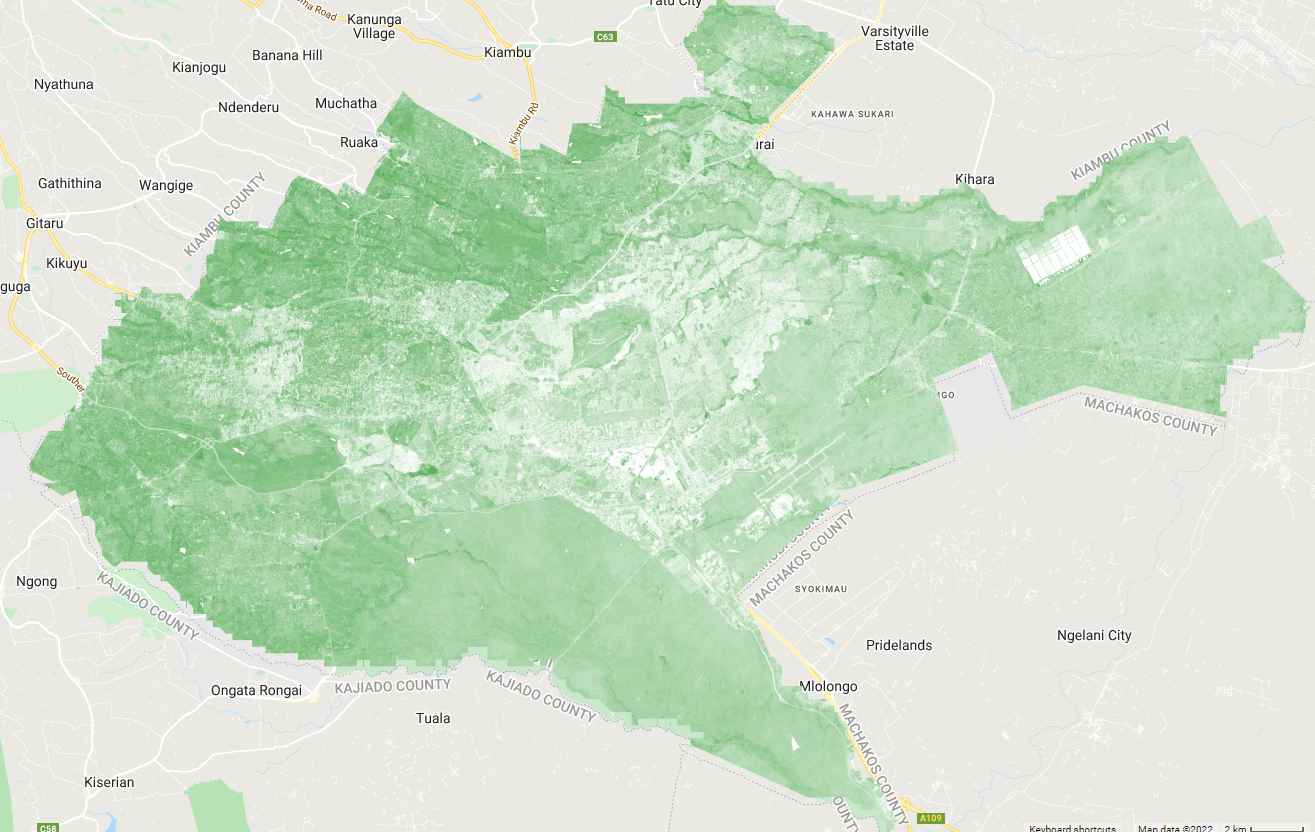 Spectral Visualization NDVI