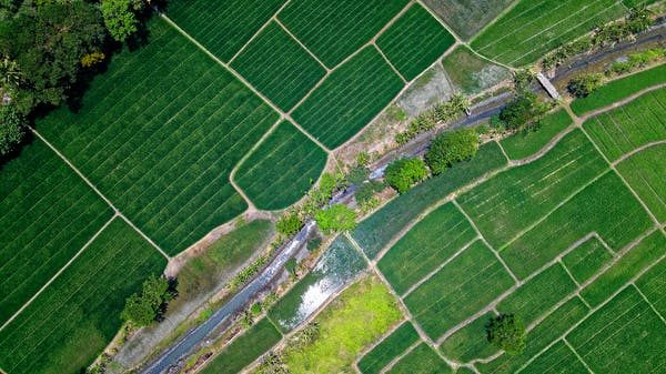 Sample Precision Agriculture